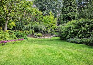 Optimiser l'expérience du jardin à Ponson-Debat-Pouts